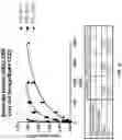 Fig. 23 - NOVEL LUCIFERASE SEQUENCES UTILIZING INFRARED-EMITTING SUBSTRATES TO PRODUCE ENHANCED LUMINESCENCE