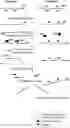 Fig. 01 - COMPOSITIONS AND METHODS FOR NUCLEOTIDE MODIFICATION-BASED DEPLETION
