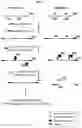 Fig. 04 - COMPOSITIONS AND METHODS FOR NUCLEOTIDE MODIFICATION-BASED DEPLETION