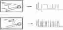 Fig. 01 - Molecular Barcode Analysis by Single-Molecule Kinetics