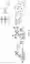 Fig. 04 - MULTIPLEXED SIGNAL AMPLIFICATION METHODS USING ENZYMATIC BASED CHEMICAL DEPOSITION