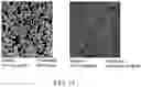Fig. 10 - MULTIPLEXED SIGNAL AMPLIFICATION METHODS USING ENZYMATIC BASED CHEMICAL DEPOSITION
