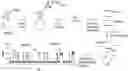 Fig. 01 - ULTRASENSITIVE BIOSENSOR METHODS