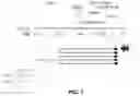 Fig. 02 - METHOD FOR DIAGNOSING CELIAC DISEASE BASED ON THE LEVEL OF EXPRESSION OF THE UBE2L3 GENE