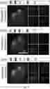 Fig. 06 - METHODS AND COMPOSITIONS RELATED TO TARGET ANALYSIS