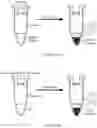 Fig. 06 - Systems and methods for generation of emulsions with suitable clarity with applications of use