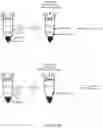 Fig. 09 - Systems and methods for generation of emulsions with suitable clarity with applications of use