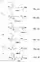 Fig. 04 - Modified nucleotide linkers