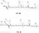 Fig. 10 - Modified nucleotide linkers