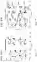 Fig. 16 - Image sensor structures and related methods