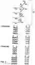 Fig. 04 - METHODS AND COMPOSITIONS FOR NUCLEIC ACID SEQUENCING
