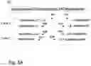 Fig. 07 - METHODS AND COMPOSITIONS FOR NUCLEIC ACID SEQUENCING