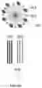 Fig. 07 - MULTIVALENT BINDING COMPOSITION FOR NUCLEIC ACID ANALYSIS