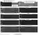 Fig. 12 - MULTIVALENT BINDING COMPOSITION FOR NUCLEIC ACID ANALYSIS