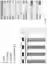 Fig. 14 - MULTIVALENT BINDING COMPOSITION FOR NUCLEIC ACID ANALYSIS
