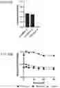 Fig. 19 - MULTIVALENT BINDING COMPOSITION FOR NUCLEIC ACID ANALYSIS