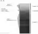 Fig. 06 - PREDICTIVE METHOD FOR ASSESSING THE SUCCESS OF EMBRYO IMPLANTATION