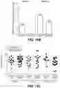 Fig. 28 - METHODS FOR DIAGNOSING AND TREATING INFLAMMATORY BOWEL DISEASE