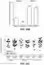 Fig. 58 - METHODS FOR DIAGNOSING AND TREATING INFLAMMATORY BOWEL DISEASE