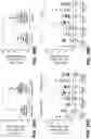Fig. 75 - METHODS FOR DIAGNOSING AND TREATING INFLAMMATORY BOWEL DISEASE