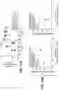 Fig. 76 - METHODS FOR DIAGNOSING AND TREATING INFLAMMATORY BOWEL DISEASE