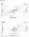 Fig. 12 - A METHOD FOR DETERMINING THE SEVERITY OR GRADE OF HUMAN PAPILLOMAVIRUS (HPV)-INDUCED DYSPLASIA