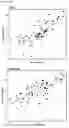 Fig. 17 - A METHOD FOR DETERMINING THE SEVERITY OR GRADE OF HUMAN PAPILLOMAVIRUS (HPV)-INDUCED DYSPLASIA