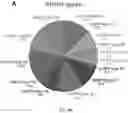 Fig. 07 - Method and System for Microbiome-Derived Companion Diagnostics