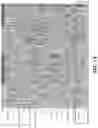 Fig. 12 - TECHNIQUES FOR IDENTIFYING FOLLICULAR LYMPHOMA TYPES