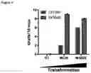 Fig. 03 - PROGNOSIS METHOD OF CANCER