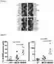 Fig. 06 - PROGNOSIS METHOD OF CANCER