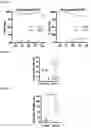 Fig. 09 - PROGNOSIS METHOD OF CANCER