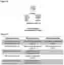 Fig. 11 - PROGNOSIS METHOD OF CANCER