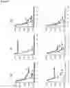 Fig. 39 - PROGNOSIS METHOD OF CANCER