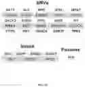Fig. 21 - Methods for early detection of cancer