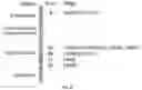 Fig. 28 - Methods for early detection of cancer
