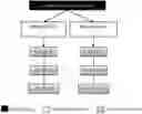 Fig. 01 - METHOD AND KIT FOR THE IDENTIFICATION OF VACCINIUM MYRTILLUS