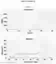 Fig. 20 - METHOD AND KIT FOR THE IDENTIFICATION OF VACCINIUM MYRTILLUS