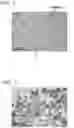 Fig. 02 - Free-cutting copper alloy, and manufacturing method of free-cutting copper alloy