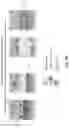 Fig. 06 - Lithium lanthanum zirconate thin films