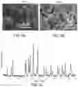 Fig. 07 - Lithium lanthanum zirconate thin films