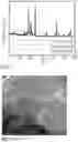 Fig. 02 - Three-phase system vanadium trioxide/vanadium nitride/molybdenum carbide nanoelectrode material, and preparation method and application thereof