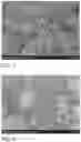 Fig. 03 - Three-phase system vanadium trioxide/vanadium nitride/molybdenum carbide nanoelectrode material, and preparation method and application thereof