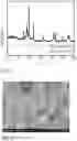 Fig. 02 - HIGH-EFFICIENCY VANADIUM NITRIDE/MOLYBDENUM CARBIDE HETEROJUNCTION HYDROGEN PRODUCTION ELECTROCATALYST, AND PREPARATION METHOD AND APPLICATION THEREOF