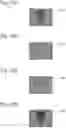 Fig. 08 - Method of plating, apparatus for plating, and non-volatile storage medium that stores program