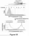 Fig. 06 - Systems and methods to identify transcription factor activation domains and uses thereof