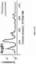 Fig. 07 - Systems and methods to identify transcription factor activation domains and uses thereof
