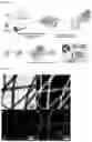 Fig. 02 - Super-amphiphilic fiber-nanowire composite and application