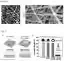 Fig. 05 - Super-amphiphilic fiber-nanowire composite and application