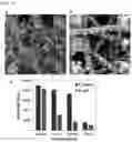 Fig. 09 - Super-amphiphilic fiber-nanowire composite and application